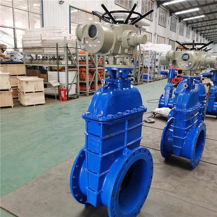 電動(dòng)閘閥Z941h -64 DN500(石化行業(yè)、煉油廠、化工廠)